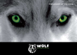     WOLF_2012